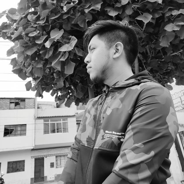 Perfil